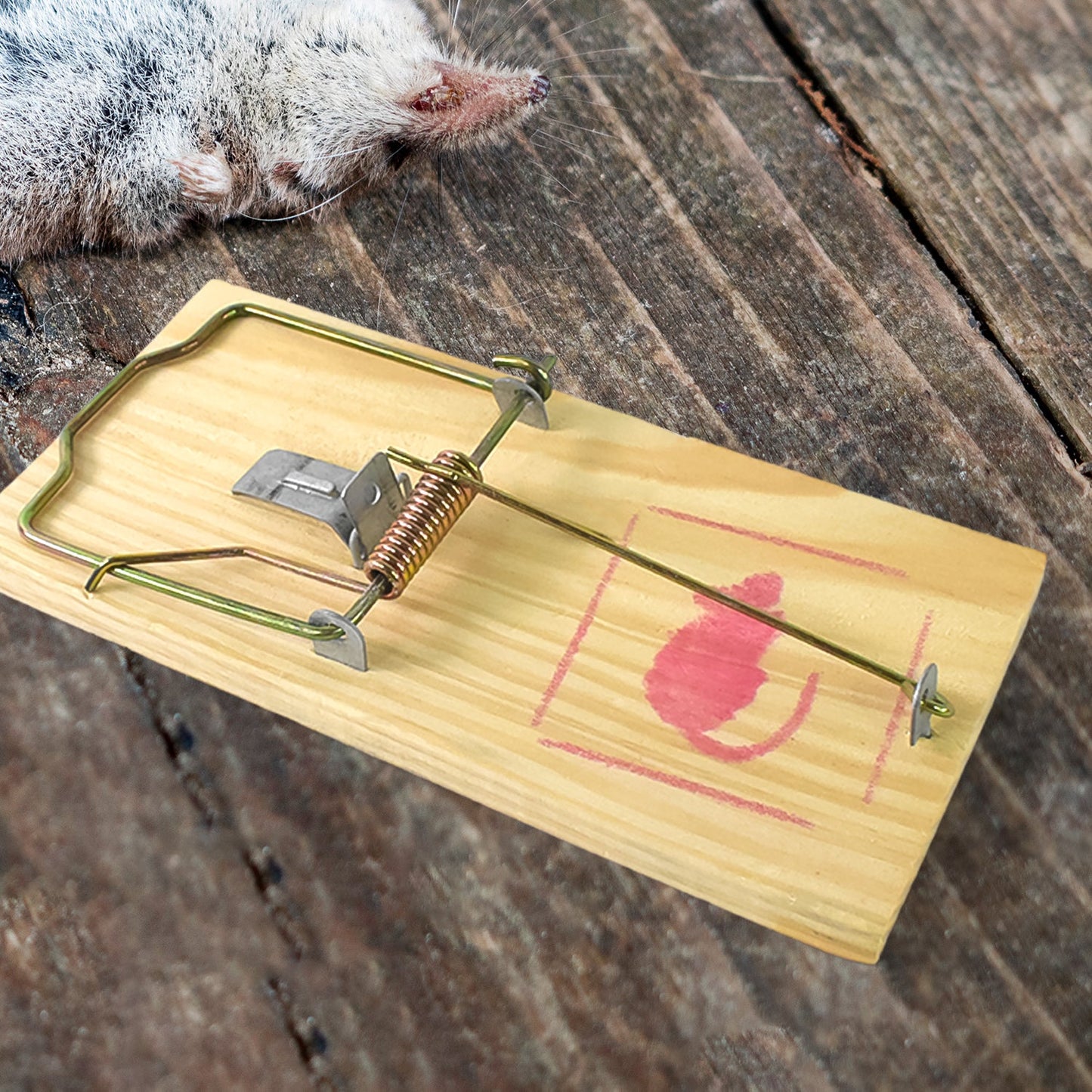 Rustic Rodent Trap