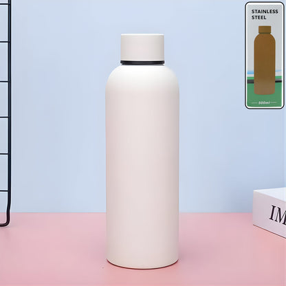 Stainless Steel Double Wall Vacuum-Insulated Drink Water (White / 500 ML Approx)