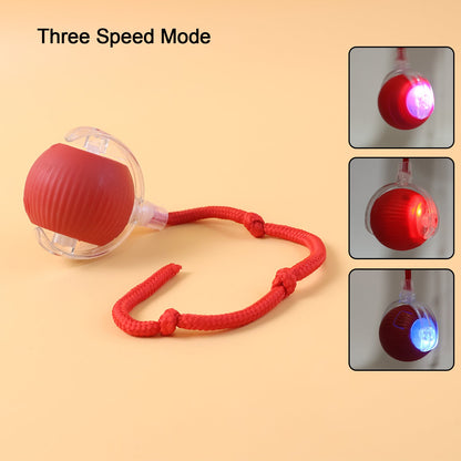 Ball Toy