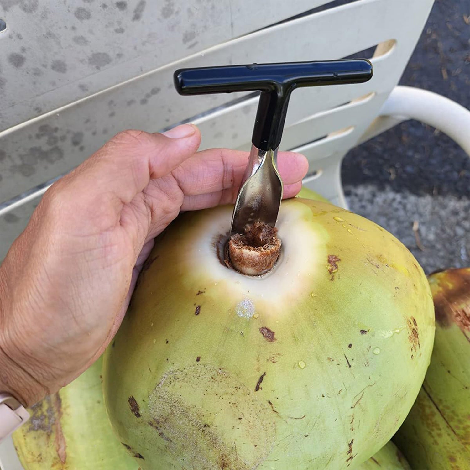 Coconut Breaker